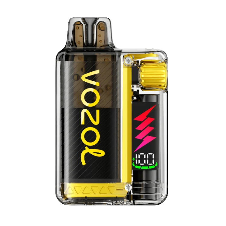 VOZOL VISTA Plug 10000 Mango Ice