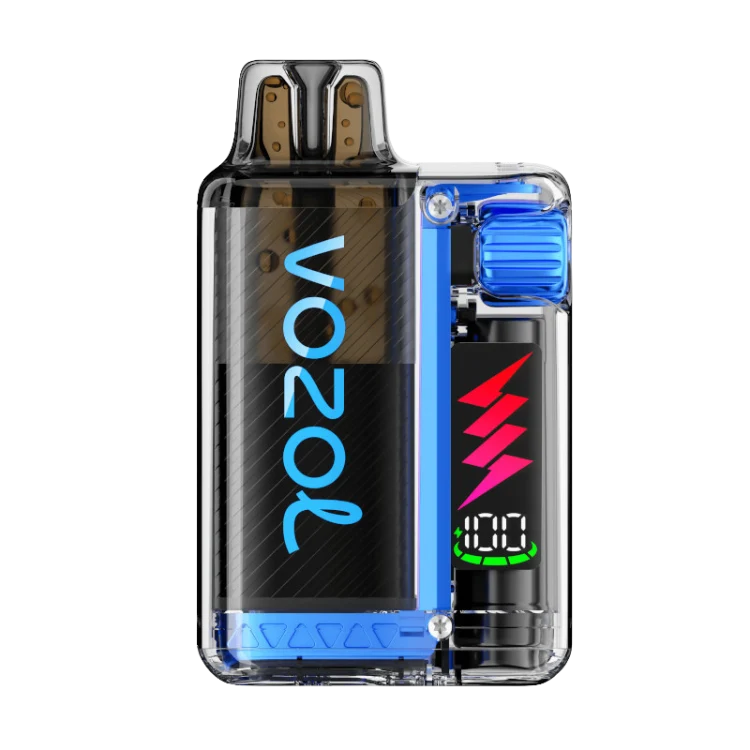 VOZOL VISTA Plug 10000 Blueberry Ice